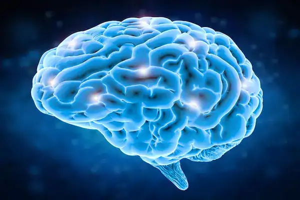 Humanin Peptide brain health overview by Direct Peptide