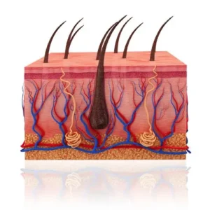 Buy PTD-DBM Peptide