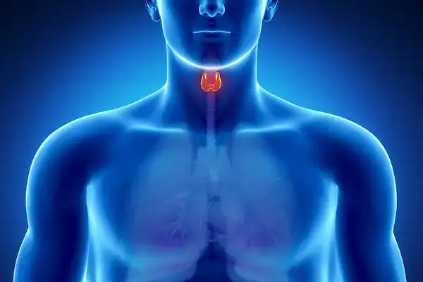 Overview of peptides studied for thyroid function from Direct Peptides