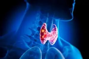Protirelin thyroid support research overview from Direct Peptides
