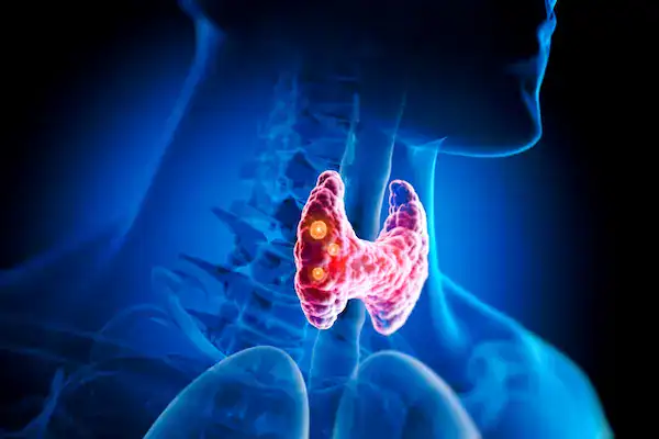 Protirelin thyroid support research overview from Direct Peptides